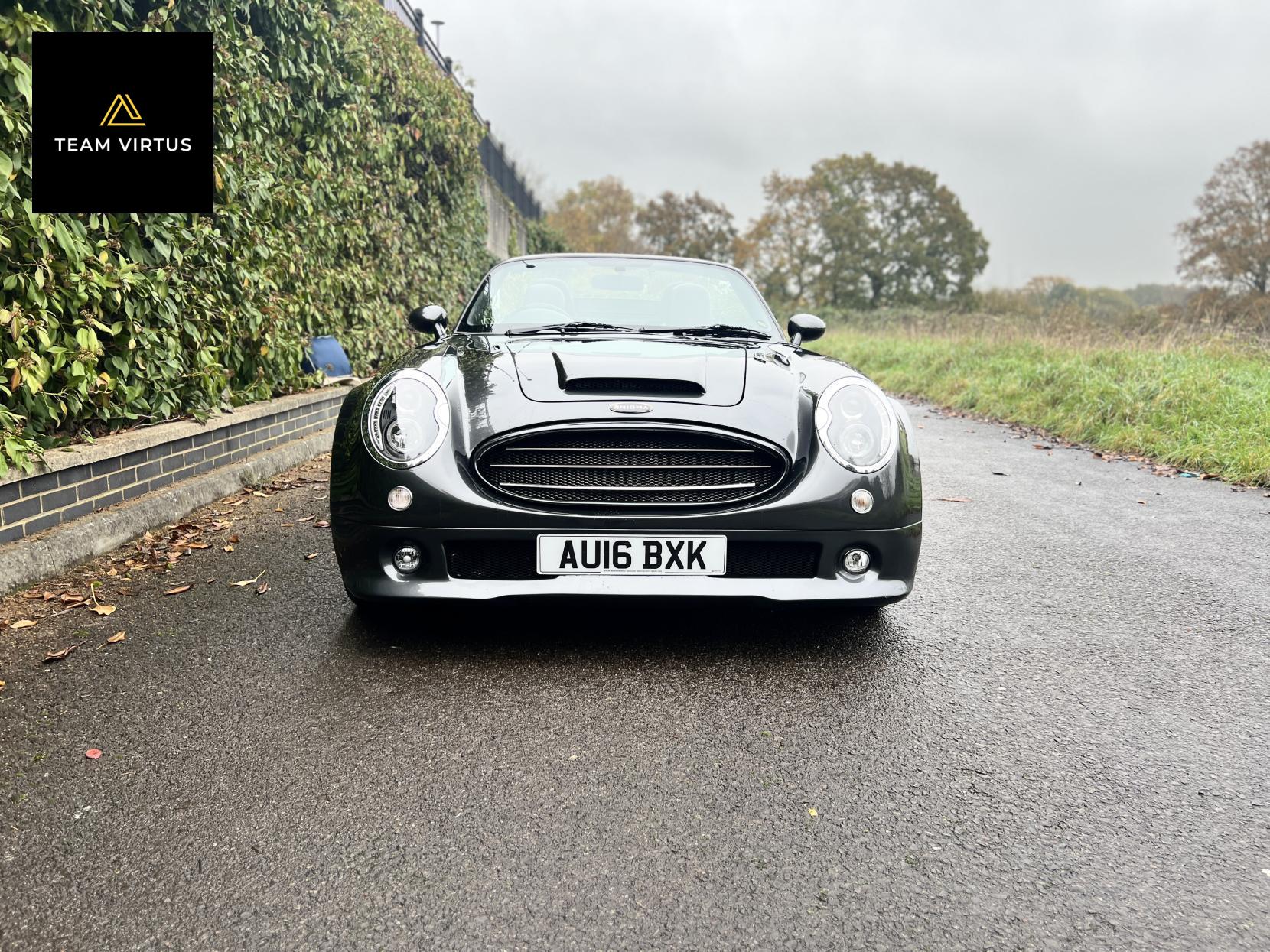 Austin Healey Austin Healey Enigma 2